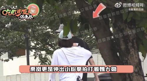 秦岚魏大勋爆料视频播放,幕后故事大揭秘 第2张 秦岚魏大勋爆料视频播放,幕后故事大揭秘 第2张